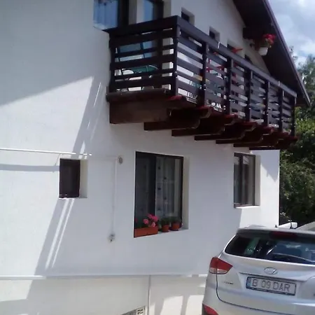 팜스테이 Vila Darian 부스테니